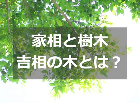 陽木 陰木 風水|家相風水での庭木の東西南北全方角別の吉凶と具体的な種別を解。